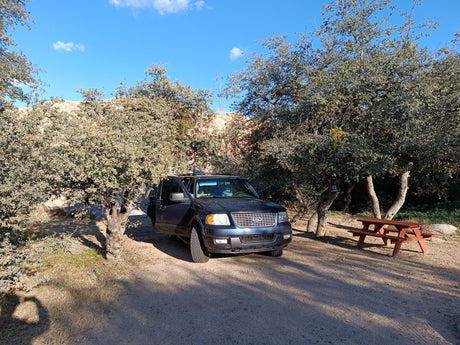 Dark Ford SUV at a sunny campsite with a picnic table, perfect for outdoor trips or your next RV rental adventure.
