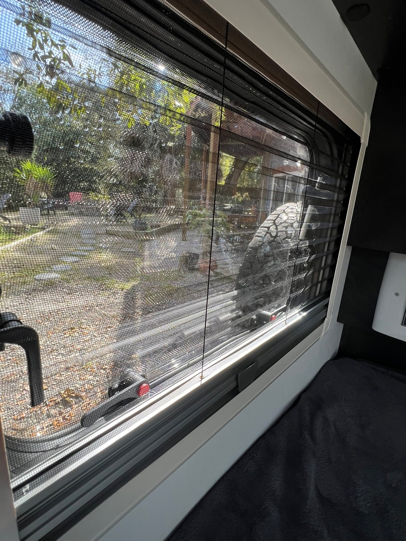View from an RV rental window, with screen and blinds, showing a sunny outdoor scene with trees and a rear-mounted spare tire.