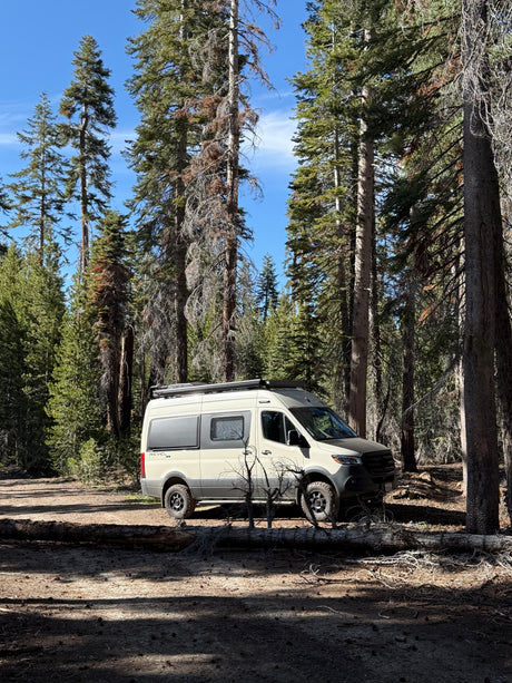 Adventure awaits! This rv rental camper van is parked in a serene forest, surrounded by tall pine trees.