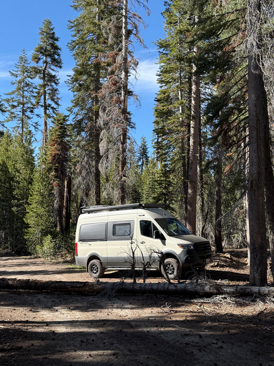 Adventure awaits! This rv rental camper van is parked in a serene forest, surrounded by tall pine trees.