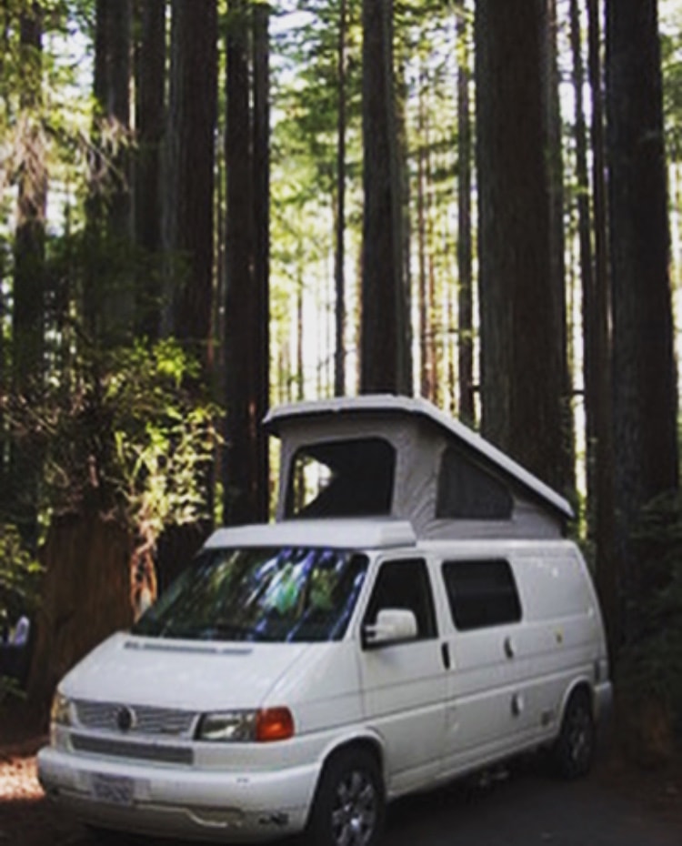  tall forest — photo 12