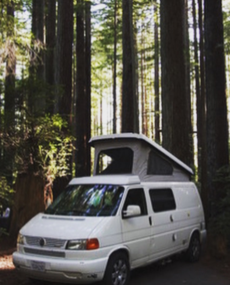 White pop-top camper van, an RV rental option, parked under towering forest trees for outdoor adventure.