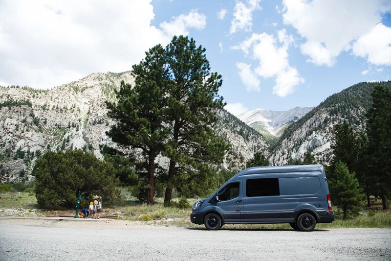  with people and trees around.|RV rental: A grey camper van — photo 1
