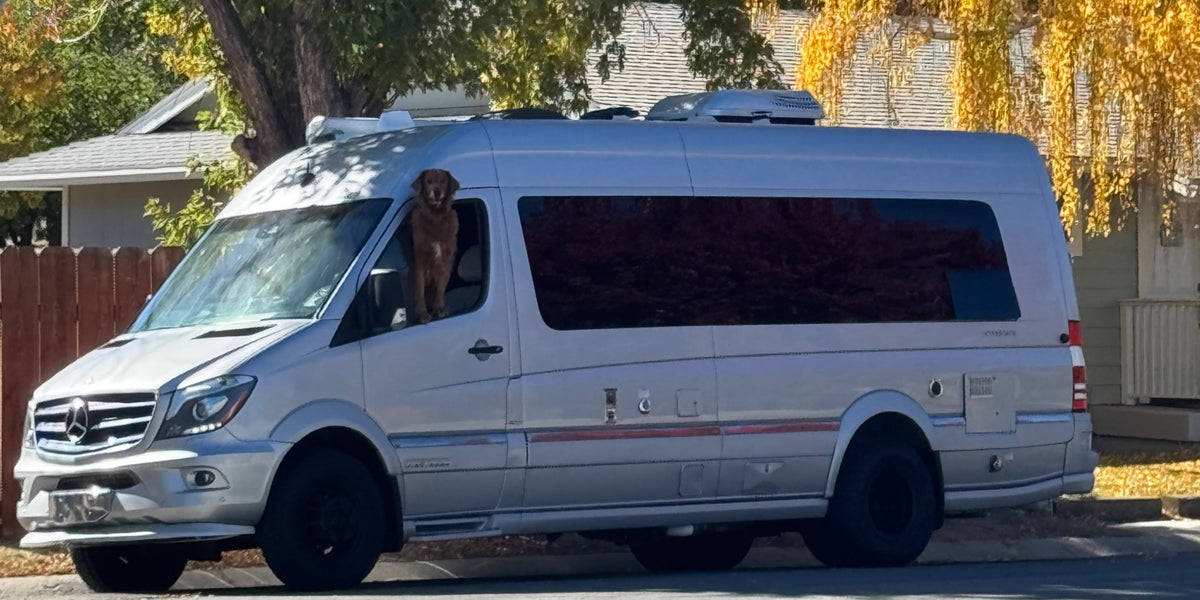 A happy dog leans out the window of a silver Mercedes Sprinter rv rental van, perfect for pet-friendly adventures.