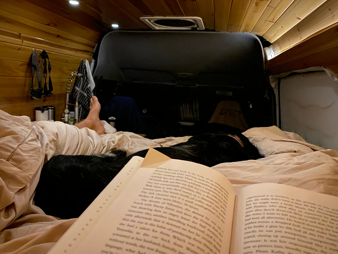 Relaxing in an rv rental: Cozy bed with a person, their dog, and a good book for a chill night.