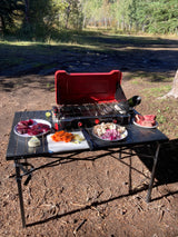 RV rental adventure: Cooking fresh steaks and veggies on a portable stove for an outdoor meal in nature.