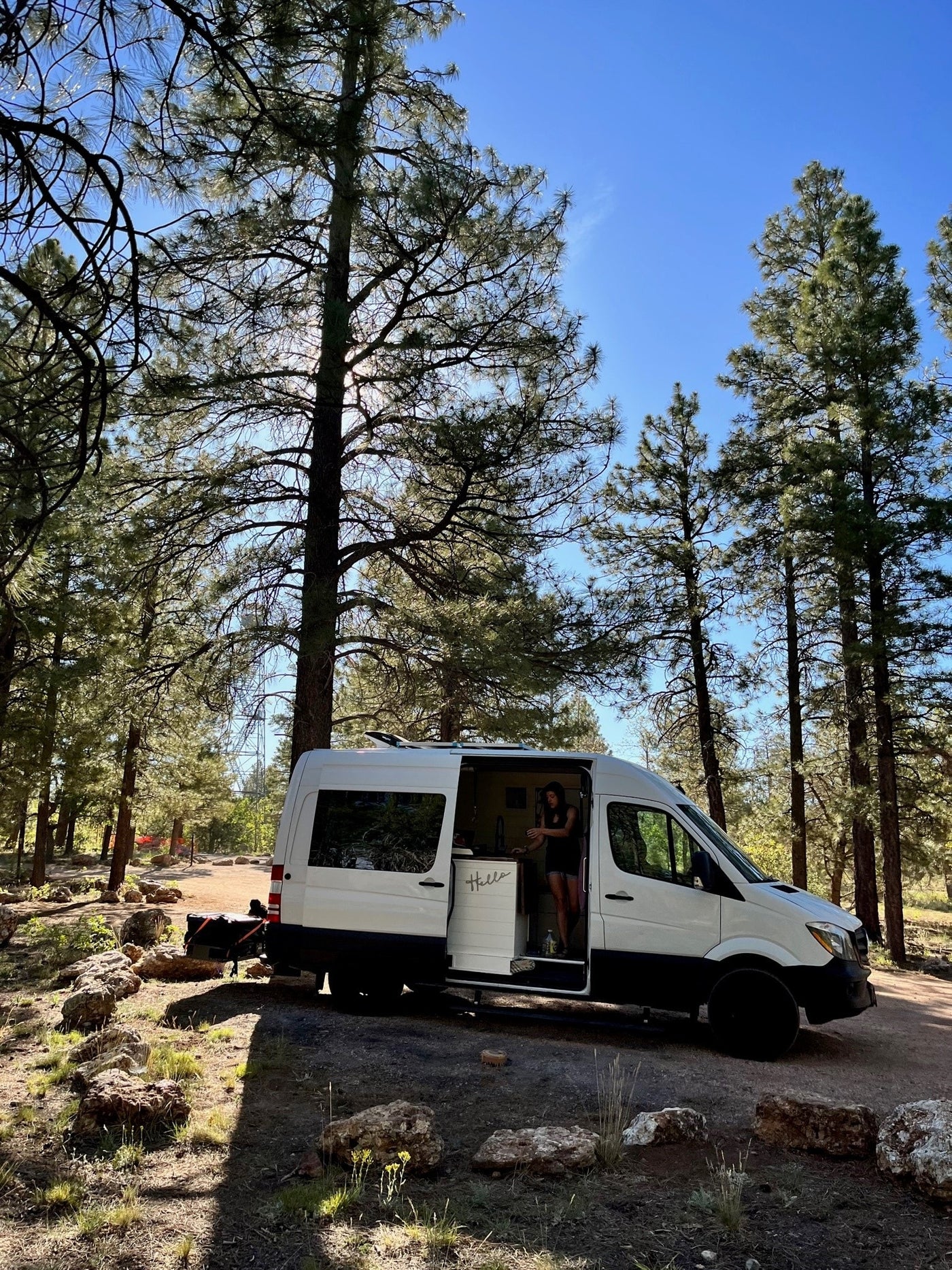 White RV rental camper van parked in a sunny pine forest. A person is inside the open door, enjoying the van life. — photo 3