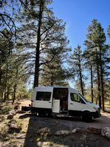 White RV rental camper van parked in a sunny pine forest. A person is inside the open door, enjoying the van life.