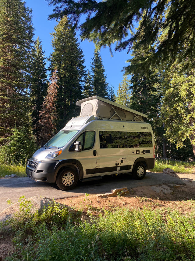 A silver pop-top RV rental camper van parked on asphalt in a sunny forest, surrounded by tall pine trees and natural growth.
