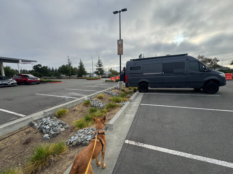 A dog watches a gray RV rental parked in a cloudy lot with trees and a "J4 PARKING" sign visible on a lamppost.|A dark grey RV rental van is parked in a lot — photo 1
