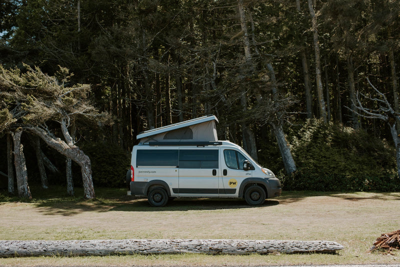 RV rental camper van with pop-top roof parked in a grassy area amidst unique, gnarled trees, hinting at outdoor adventures. — photo 5