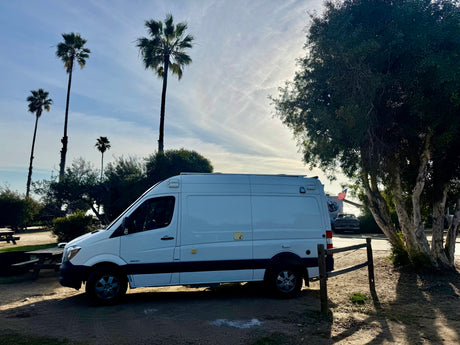 White rv rental camper van parked at a scenic spot with palm trees, a large tree, and a picnic table under a bright sky.