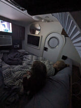 T@G Teardrop Trailer Dry Camp Ready w/ Solar
