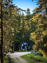 An RV rental camper, with a pop-up tent, is parked in a peaceful forest clearing surrounded by tall pine trees.