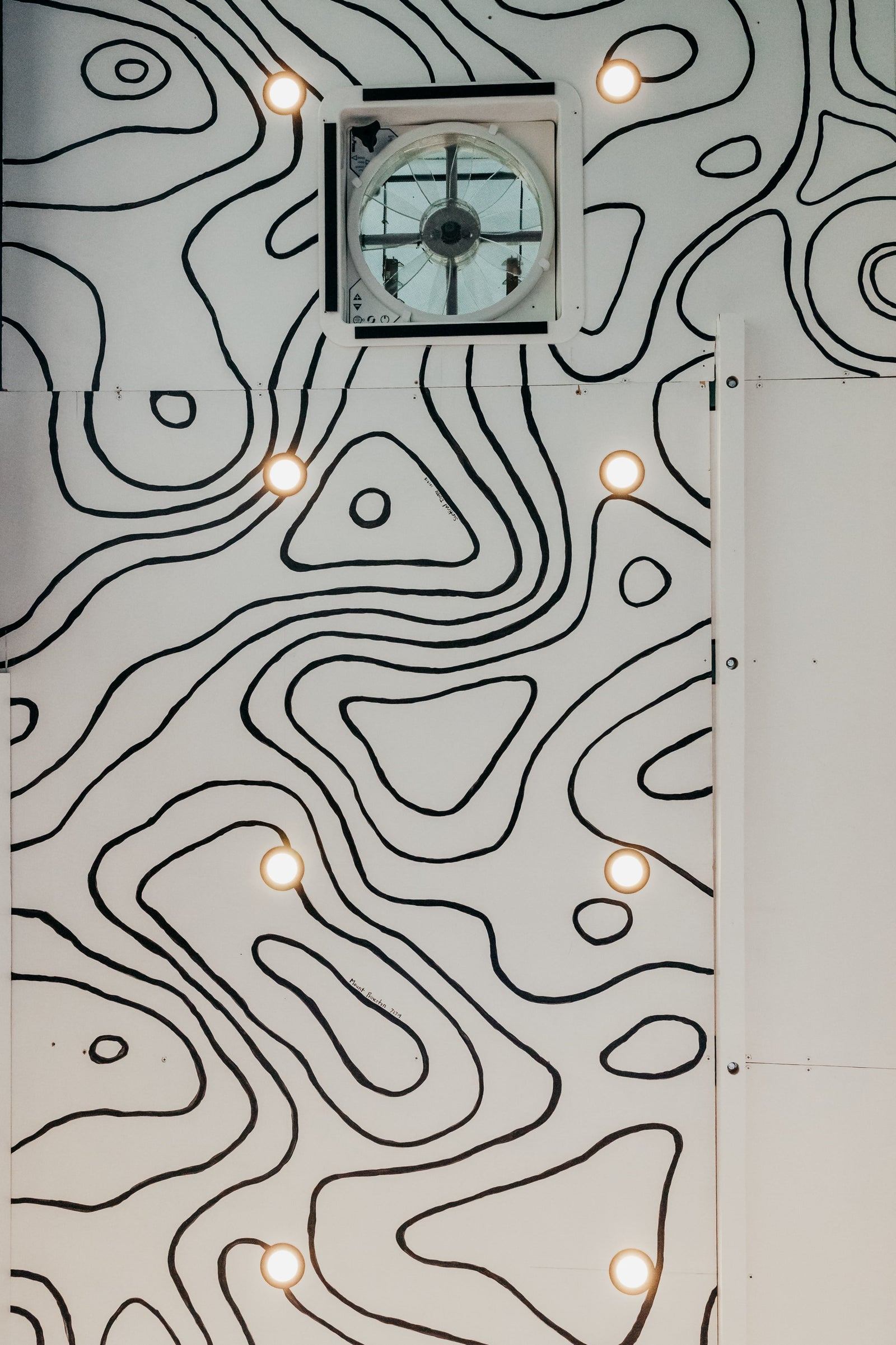 RV rental interior ceiling with unique black and white topographic map design, integrated lights, and a central fan.