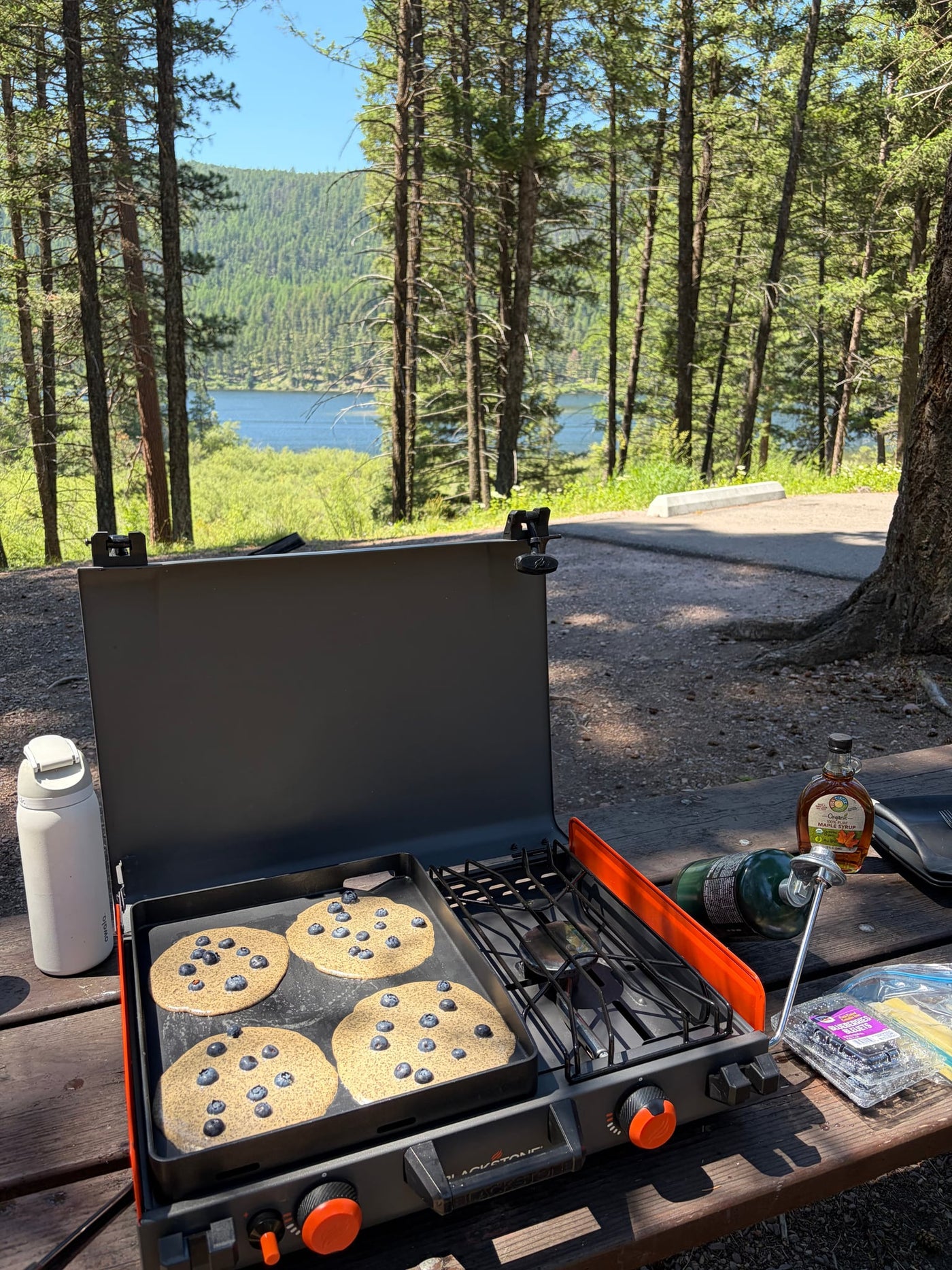Solar-powered, Starlink-connected, Dog-friendly Adventure Van — photo 20