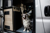 Pet-friendly RV rental: A merle Australian Shepherd sits inside, showing the interior with a fridge and child car seat.