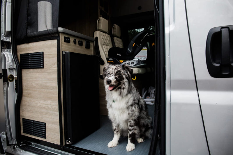  rear view on a gravel path. It's ready for your next adventure.|White pop-top camper van on a gravel road — photo 1