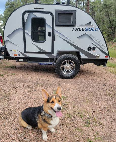 A happy Corgi sits on a dirt path in front of a Freesolo teardrop RV, ideal for a pet-friendly rv rental camping adventure.