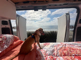 A happy light-brown dog on a patterned bed inside an RV rental, looking out at a sunny beach & ocean view.
