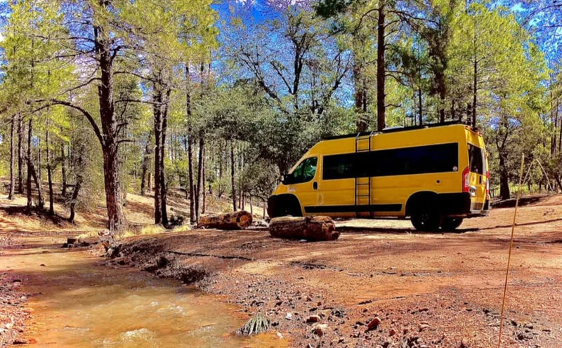 Bright yellow rv rental campervan parked among tall trees by a flowing stream in a sunlit forest. — photo 10