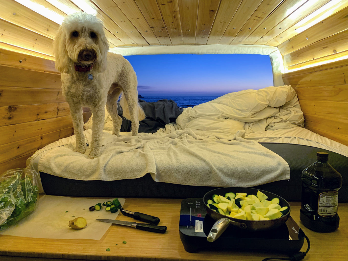 Inside a cozy RV rental: a fluffy dog on the bed, ocean view out back, and fresh cooking essentials prepped on the counter.