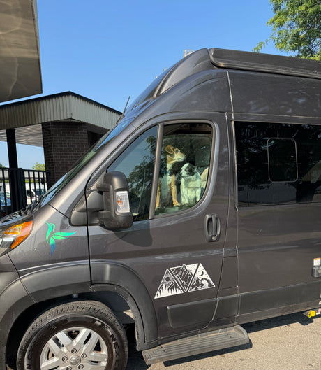 Two dogs peer from a dark grey rv rental van, adorned with mountain decals. A bright day with buildings in the background.