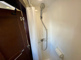 RV rental compact shower: white curtain, handheld showerhead, mixer taps, and a dark brown door partially open.