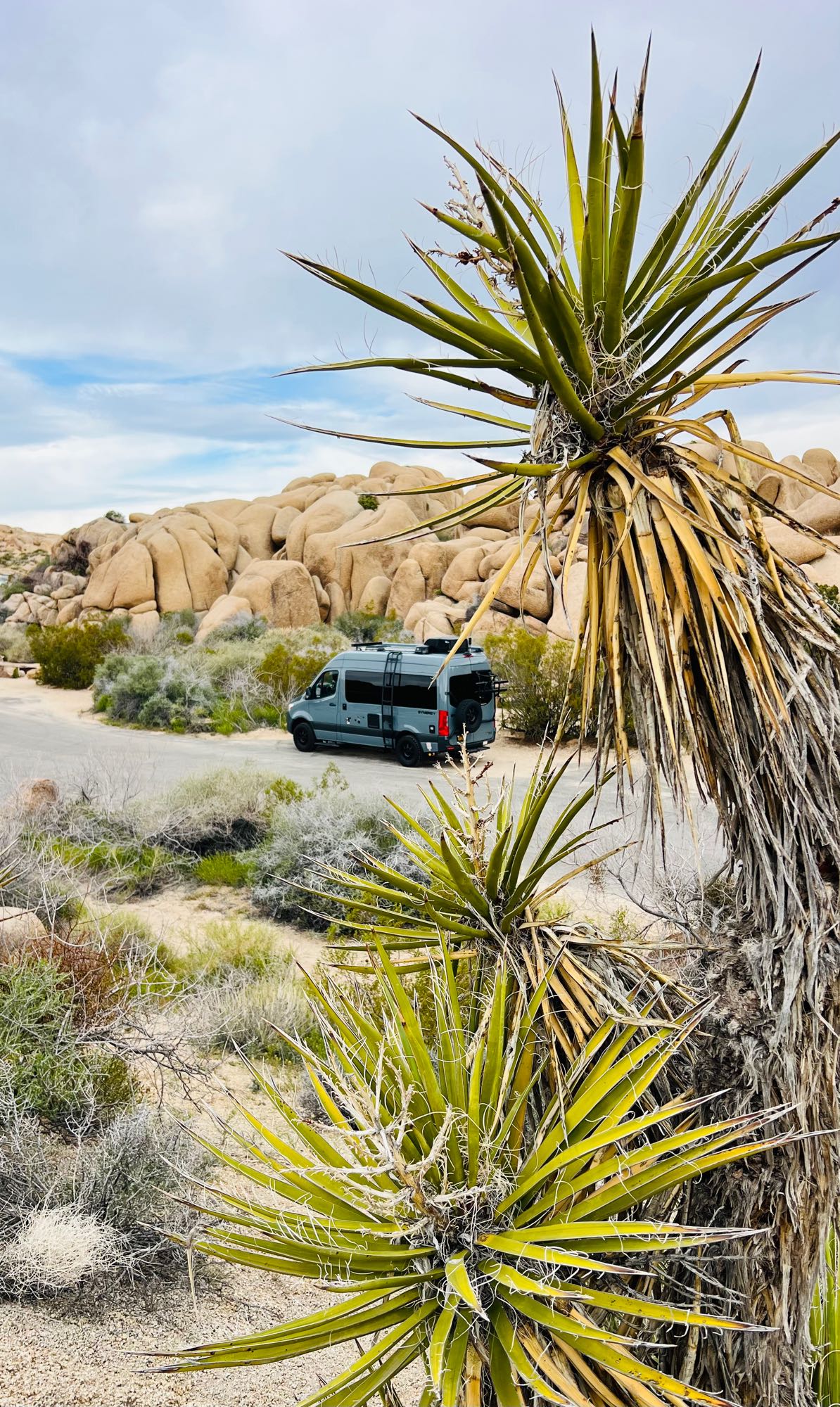  saguaro cacti.|RV rental parked in a vast desert landscape featuring large rock formations and prominent yucca plants under a cloudy sky.|Stunning coastal campsite view featuring an RV rental and a picnic setup by the ocean & mountains.|This dark gray RV rental camper van sits in a sunny forest campsite — photo 8