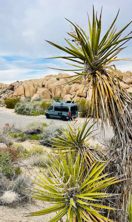RV rental parked in a vast desert landscape featuring large rock formations and prominent yucca plants under a cloudy sky.