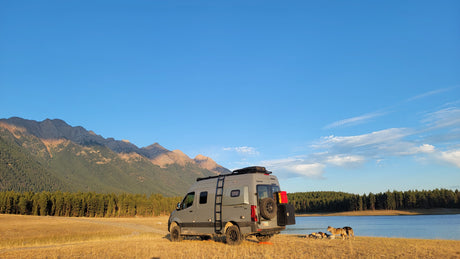 Grey RV rental parked on golden grass by a blue lake with dogs. Majestic mountains in the distance under clear skies.