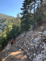 A hiker enjoys a scenic mountain trail through a forest. An RV rental is ideal for exploring nature's beauty on paths like this.