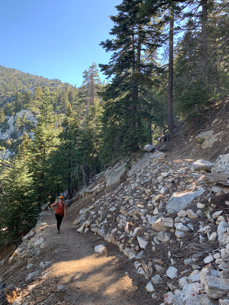 A hiker enjoys a scenic mountain trail through a forest. An RV rental is ideal for exploring nature's beauty on paths like this.