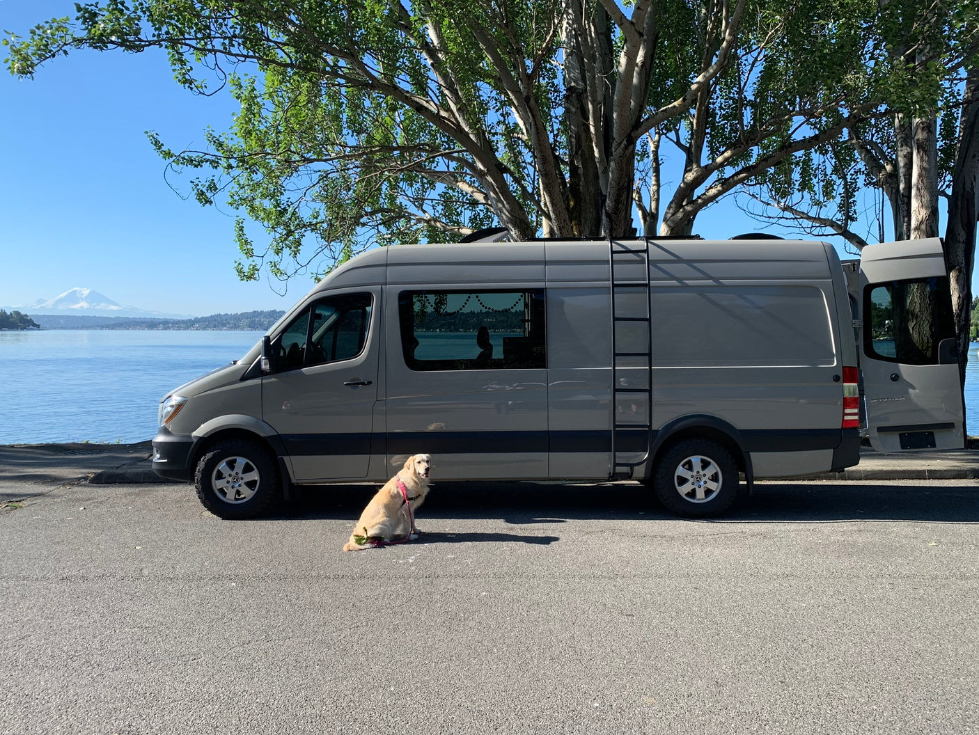 Scenic view of a grey RV rental van parked by water with a dog, Mt. Rainier visible, under a clear sky.