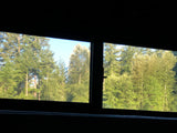View from an RV rental: a lush forest with diverse green trees under a clear blue sky, framed by a dark window.