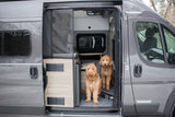 Two fluffy dogs inside a grey Winnebago rv rental van with its side door open, ready for pet-friendly adventures.