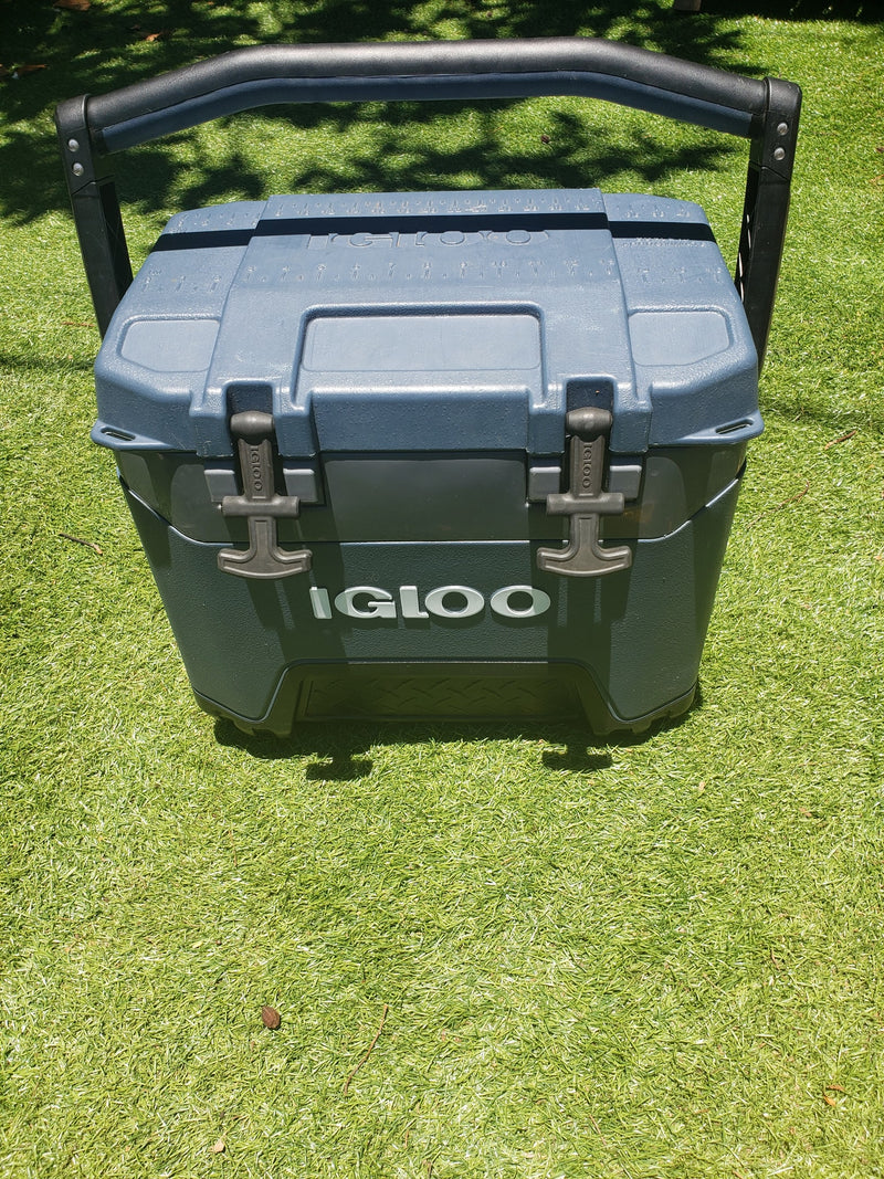 Sturdy Igloo cooler on bright green turf, perfect for your next rv rental outdoor adventure. — photo 12
