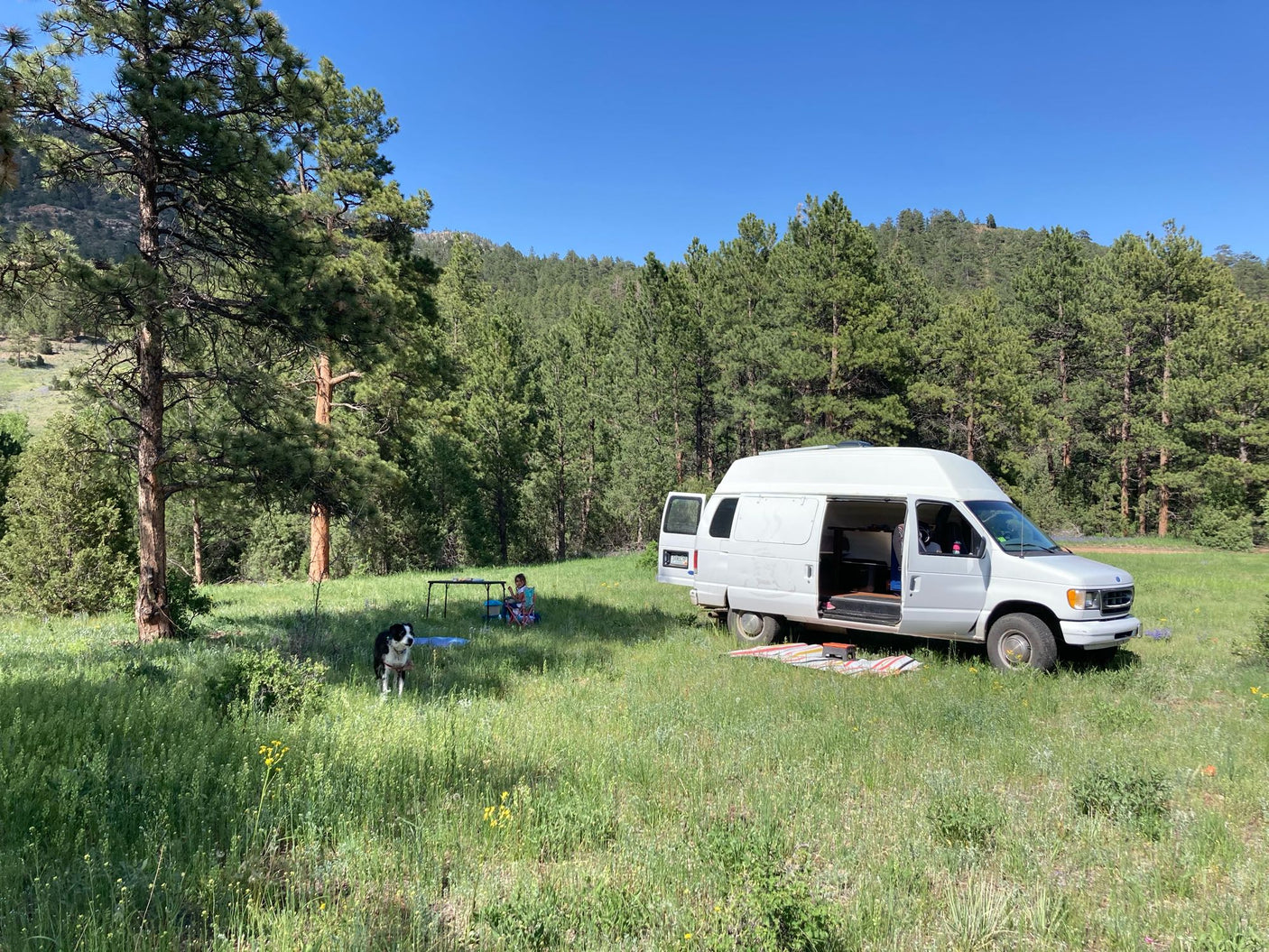 RV rental: White camper van in a sunny meadow with person and dog. Scenic nature camping under blue sky.
