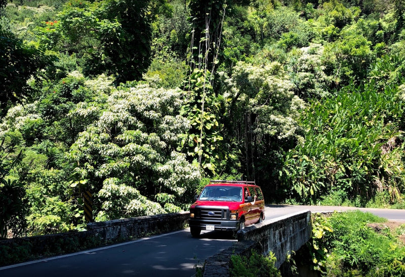 A red van, possibly an RV rental for adventure, navigates a stone bridge in a lush tropical forest. An arm waves. — photo 16