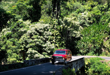 A red van, possibly an RV rental for adventure, navigates a stone bridge in a lush tropical forest. An arm waves.