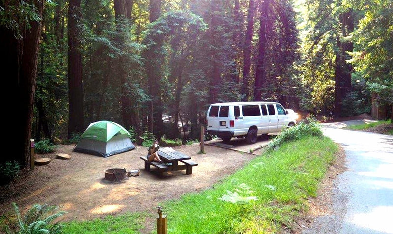  a person at a picnic table for outdoor adventures.|Adventure vehicles including an off-road van & camper in a forest clearing — photo 3