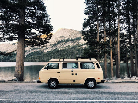 1982 Volkswagen Westfalia "Buttercup" — photo 4