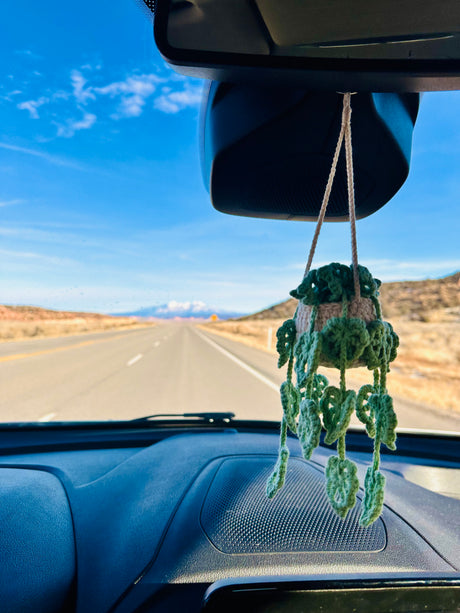 Scenic RV rental road trip view: long desert road, distant mountains, and a crochet plant hanging inside.