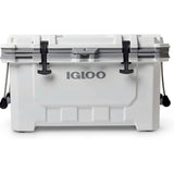This white Igloo cooler, featuring robust latches and handles, is perfect for keeping provisions cool on your RV rental journey.