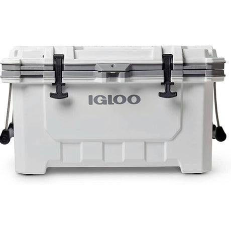 This white Igloo cooler, featuring robust latches and handles, is perfect for keeping provisions cool on your RV rental journey.