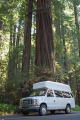 White RV rental parked amidst towering redwood trees, highlighting nature travel in a majestic forest setting.