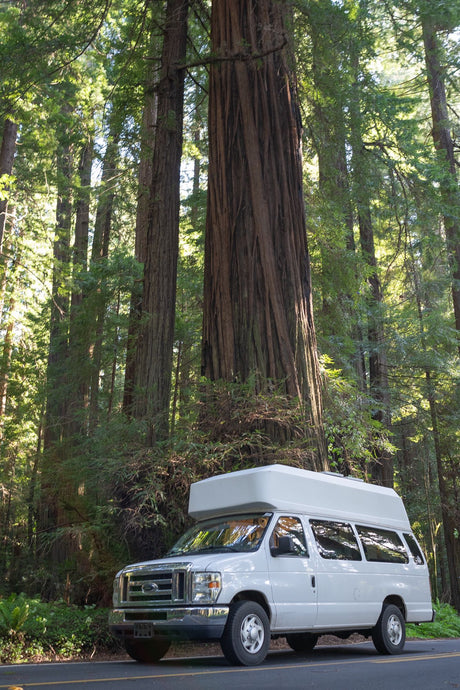 White RV rental parked amidst towering redwood trees, highlighting nature travel in a majestic forest setting.