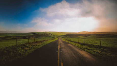 Scenic road winding through green fields under a hazy sky, perfect for an RV rental road trip.