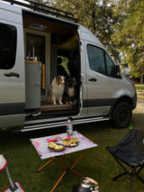 Two Australian Shepherds inside a silver rv rental camper van, with an outdoor breakfast setup and camping chairs.
