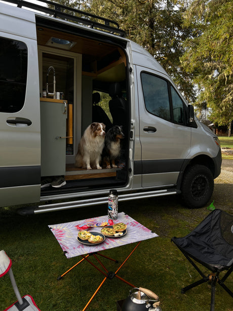 Two Australian Shepherds inside a silver rv rental camper van, with an outdoor breakfast setup and camping chairs.